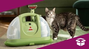 The BISSELL Little Green Makes Cleaning Small Messes Easier and It's Now $20 off